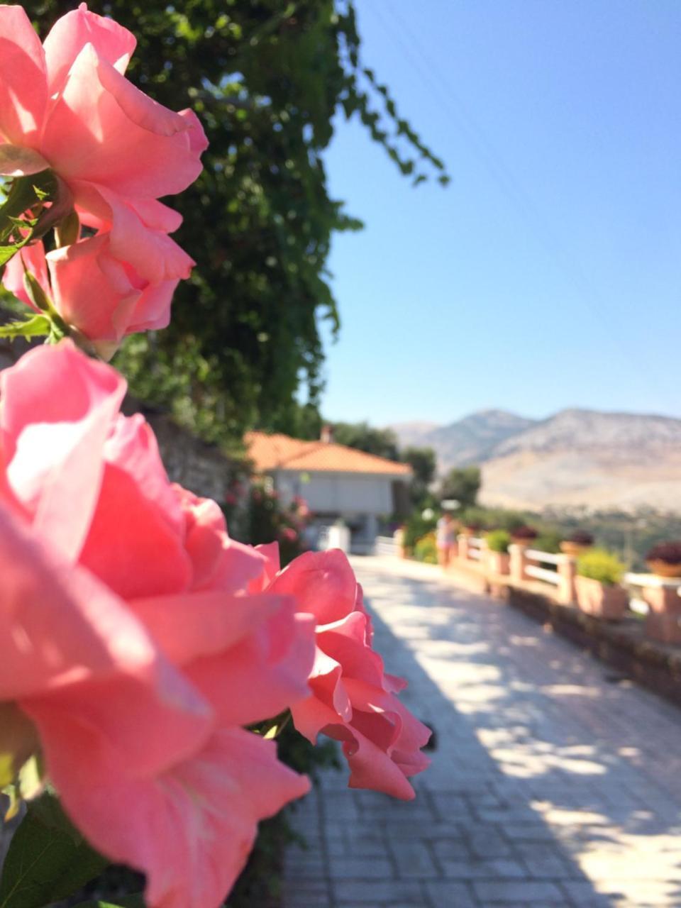 Saranda Landscape Apartment Nivice Exterior foto
